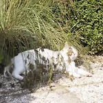 B&B Landgoed Rijckholt
